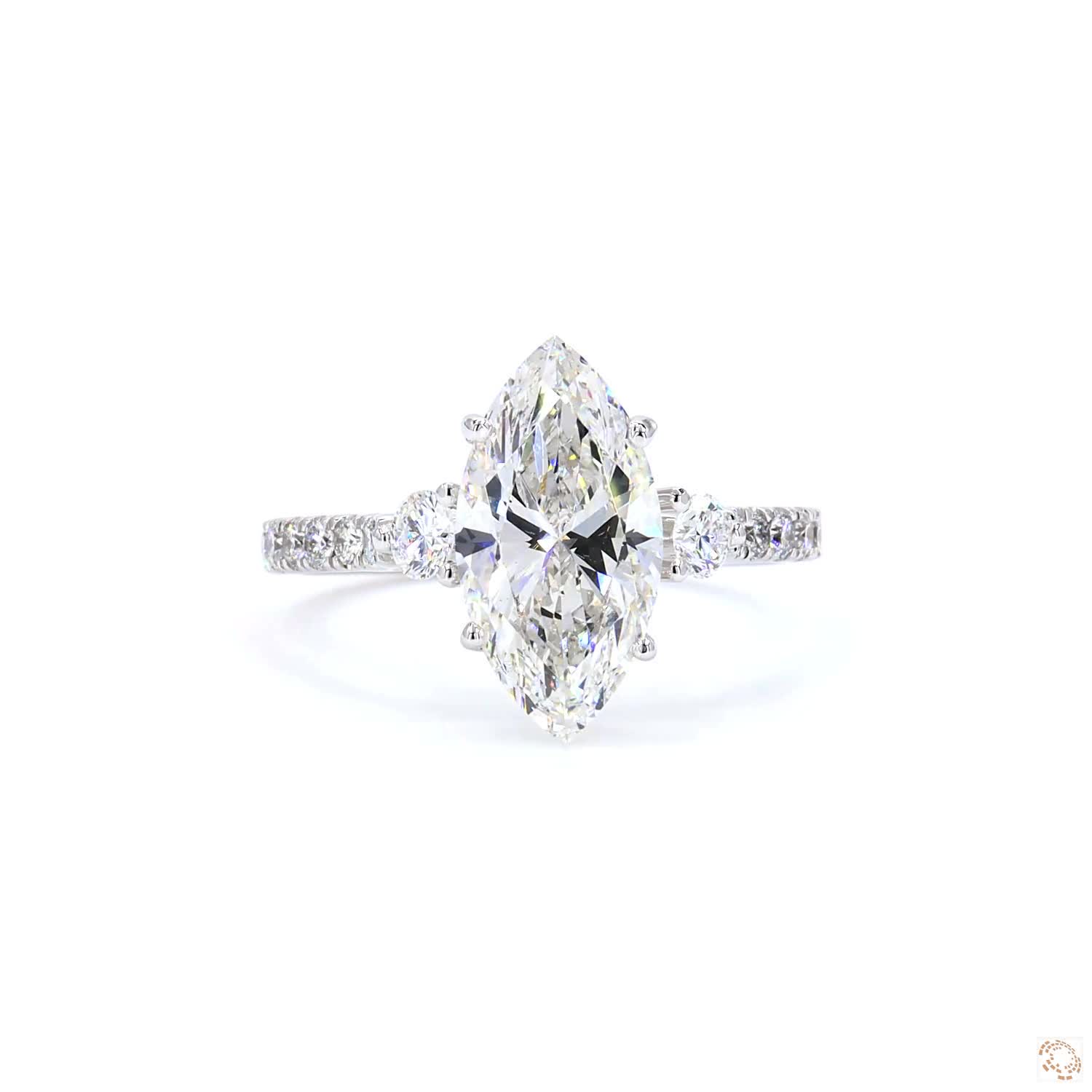 301 ( Marqis ) ( 20024L )